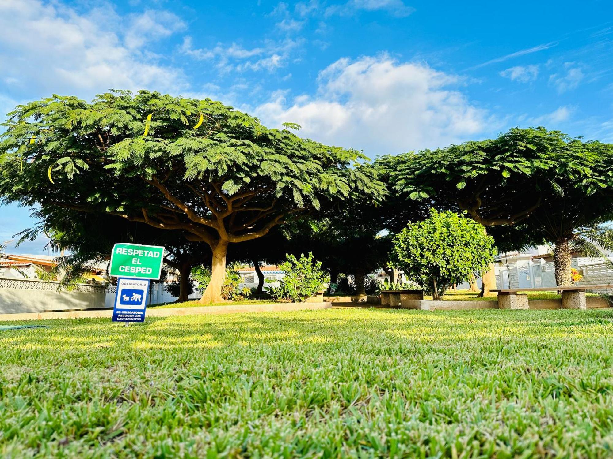 Casa Una Bungalow Delux Arona  Dış mekan fotoğraf